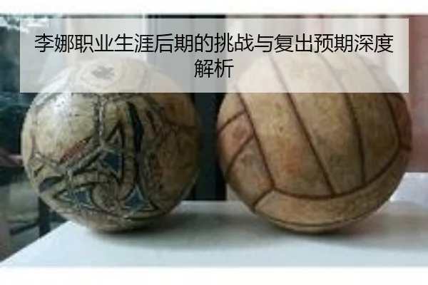 李娜职业生涯后期的挑战与复出预期深度解析